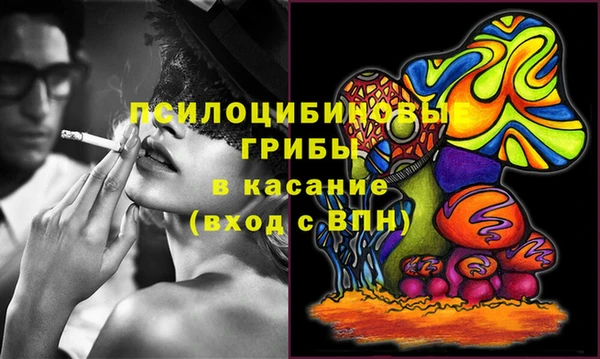 прущая мука Аркадак