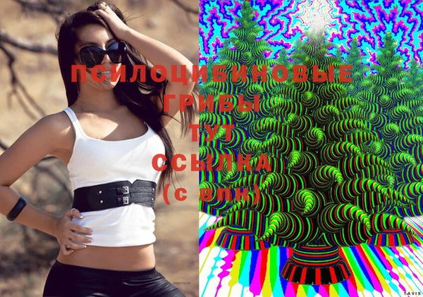 меф Арсеньев