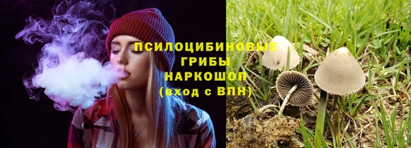 ECSTASY Армянск