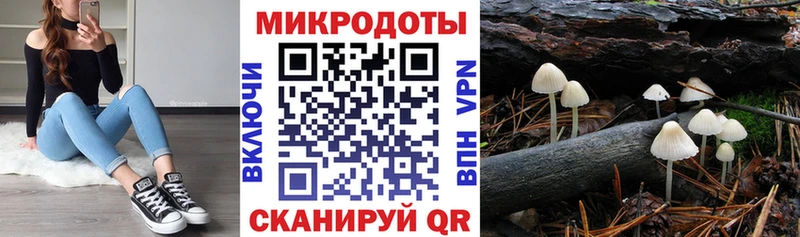 Псилоцибиновые грибы Magic Shrooms  наркота  Кемь 